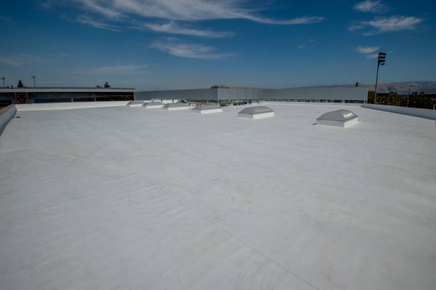 Best Cold Roofs  in Pelion, SC