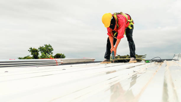 Best Skylights  in Pelion, SC