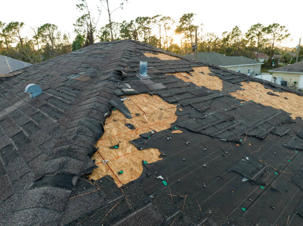 Best Skylight Installation and Repair  in Pelion, SC