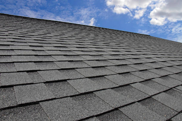 Best Roof Maintenance and Cleaning  in Pelion, SC