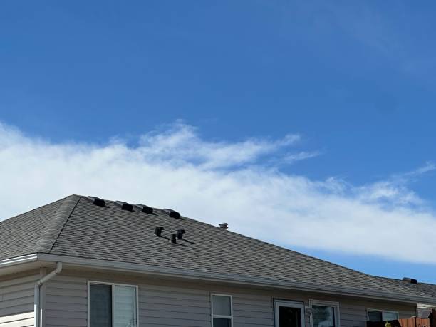 Best Emergency Roof Repair Services  in Pelion, SC